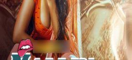 Malkin Bhabi 2024 Hindi Season 02 [ Episodes 04 Added] PrimeShots WEB Series 720p HDRip Download