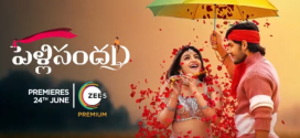 Pellisanda D 2024 Hindi Dubbed Movie ORG 720p WEBRip 1Click Download