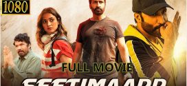 Seetimaarr 2024 Hindi Dubbed Movie ORG 720p WEBRip 1Click Download